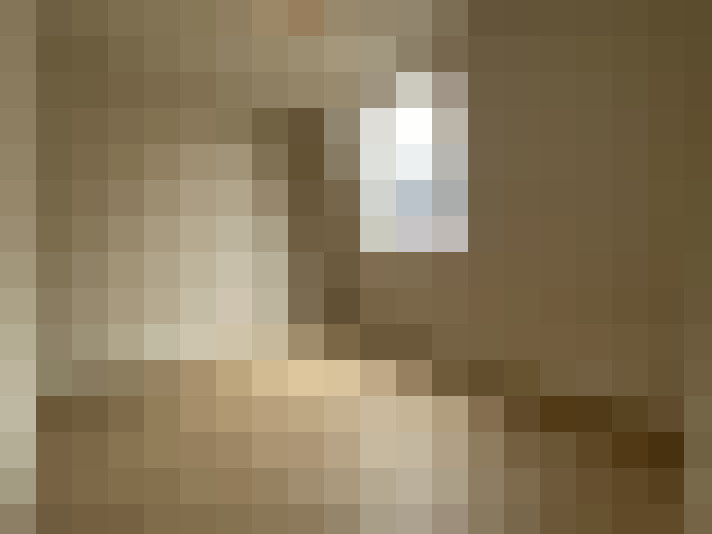  / #21