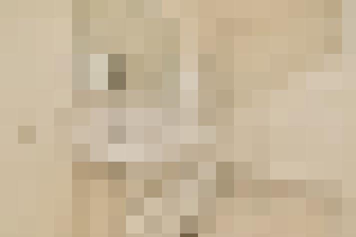  / #21
