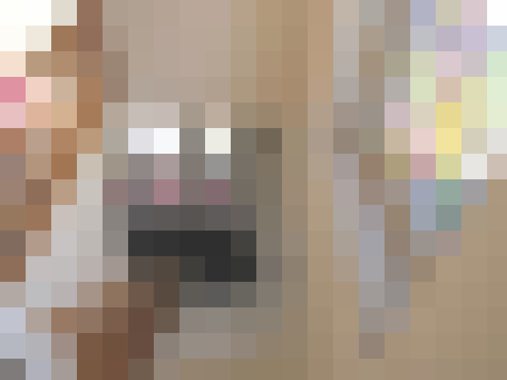  / #17