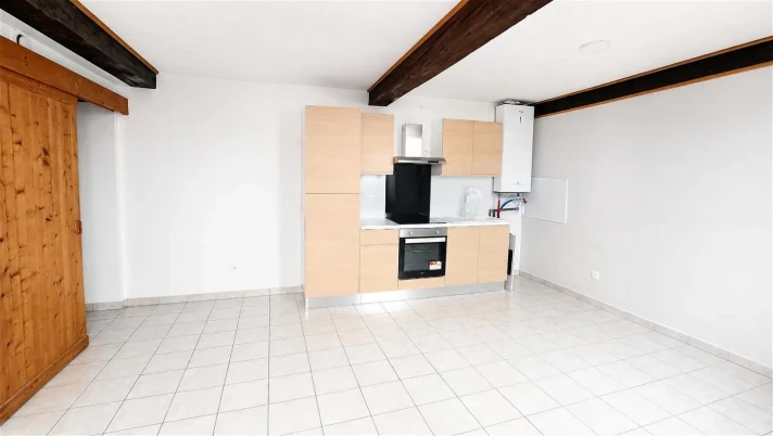 Voir la photo 1/4 du type apartment à Beaurepaire