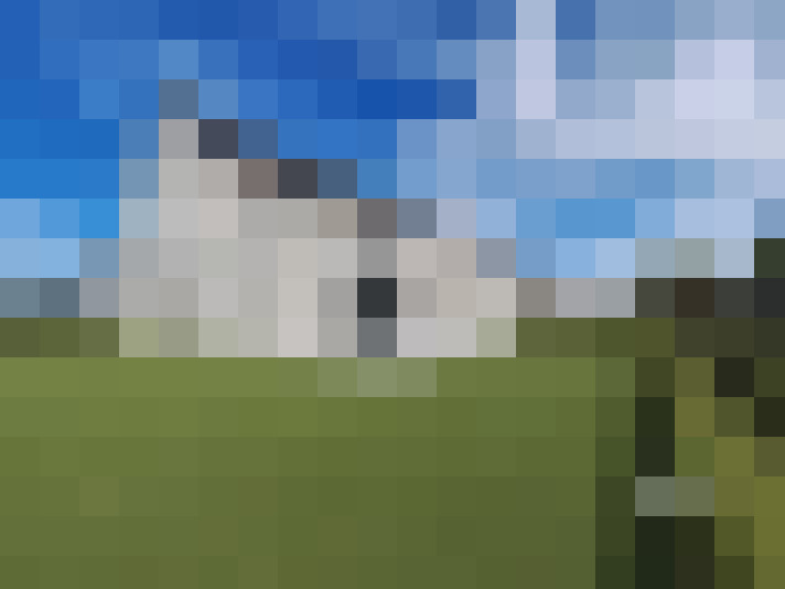  / #16