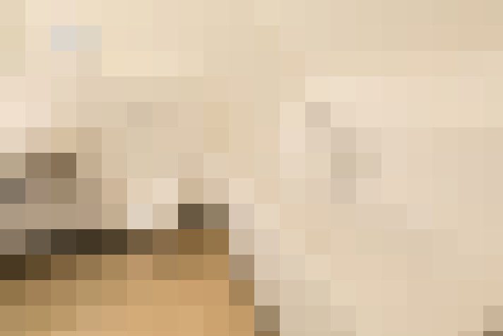  / #23
