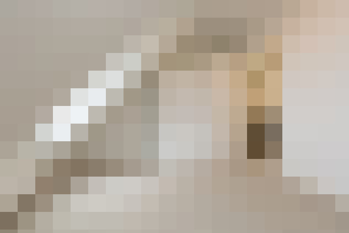  / #20