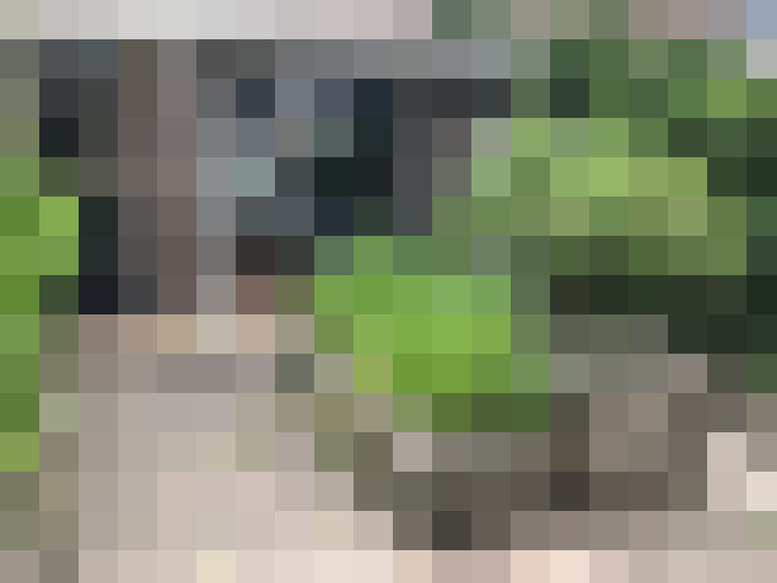  / #14