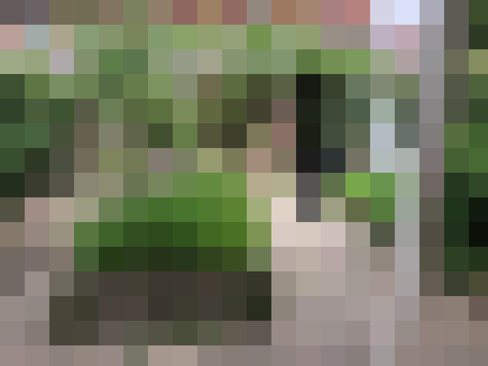  / #15