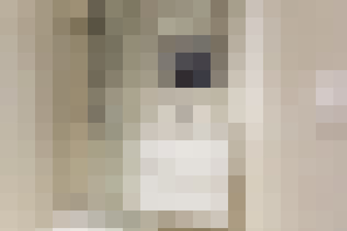  / #28