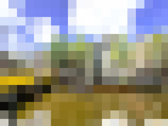  / #31