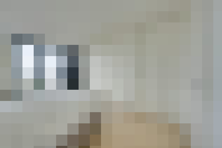 / #65