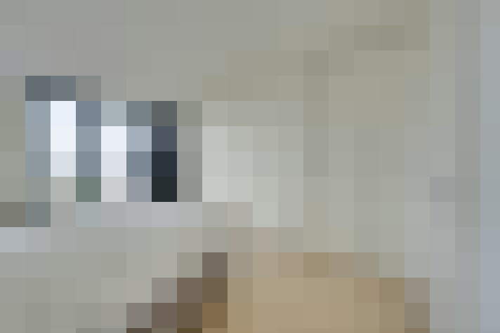  / #33