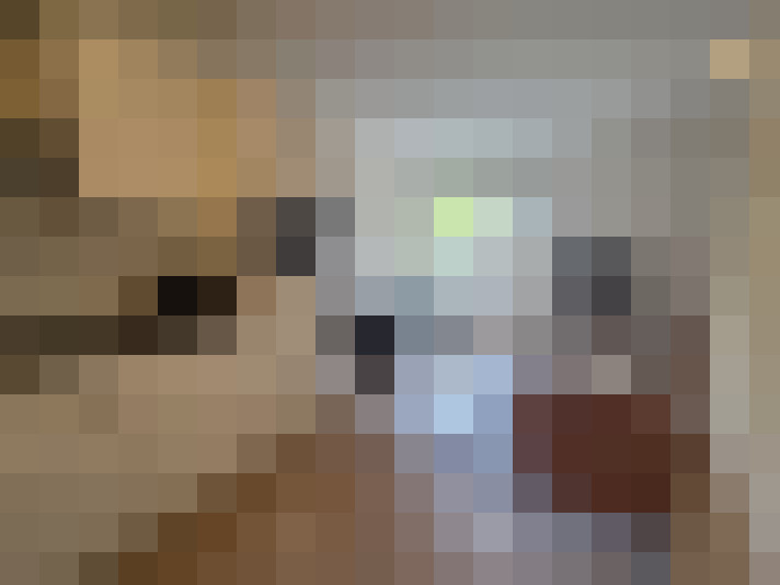  / #8