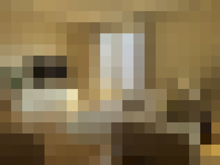  / #11