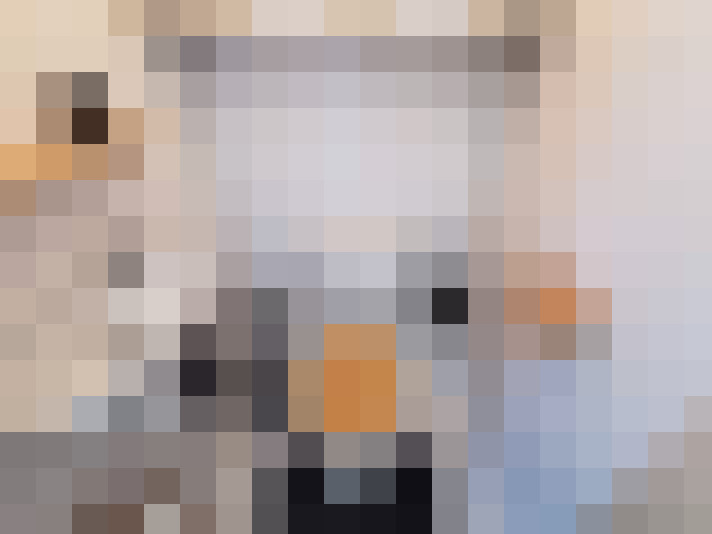  / #16