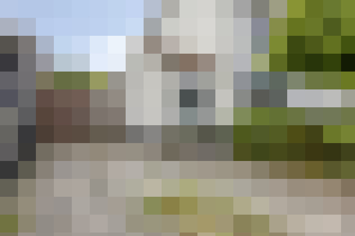  / #64