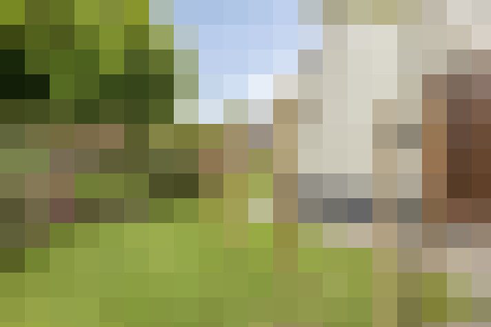  / #55