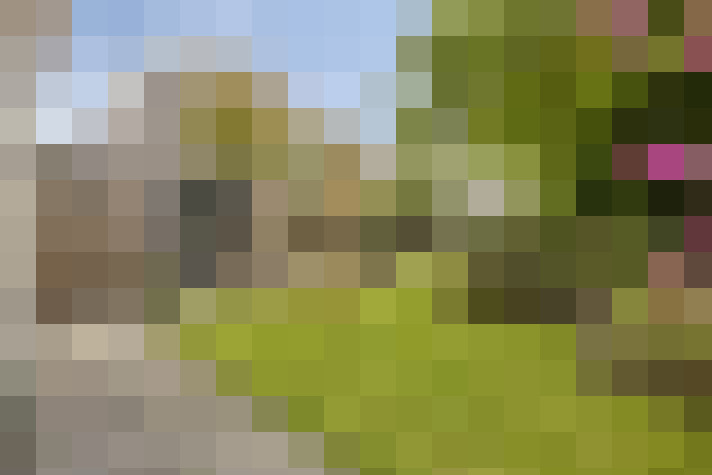  / #56