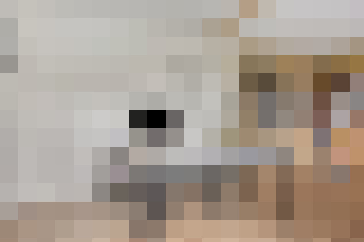  / #23