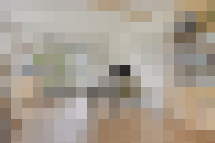  / #22