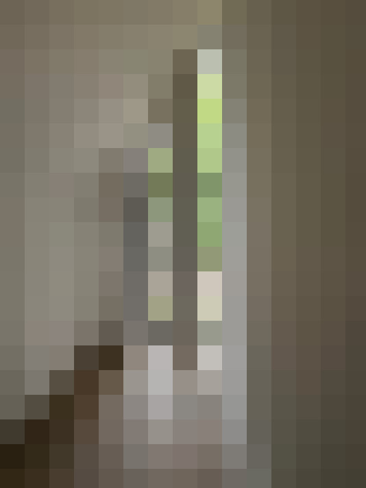  / #16