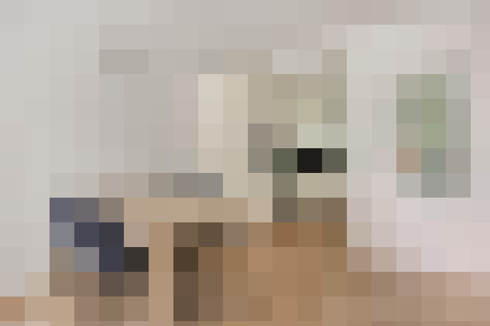  / #14
