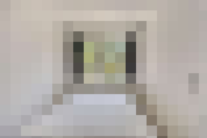  / #22