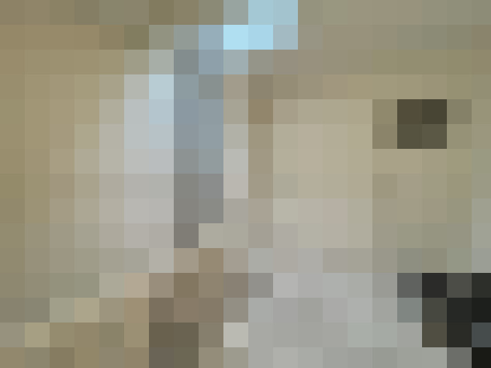  / #24