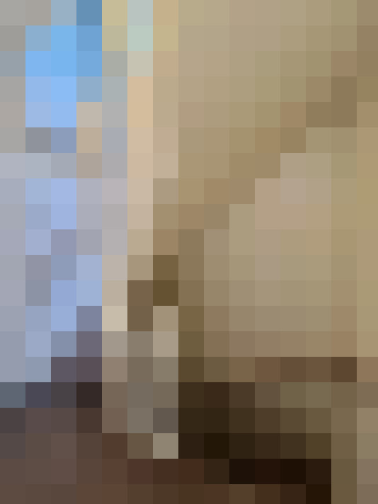  / #22