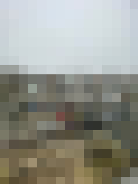  / #17