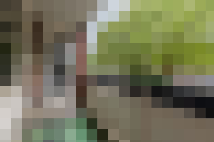  / #21