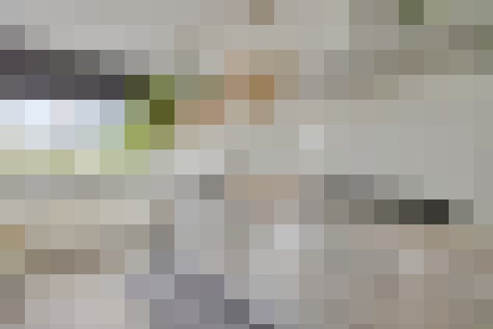  / #15