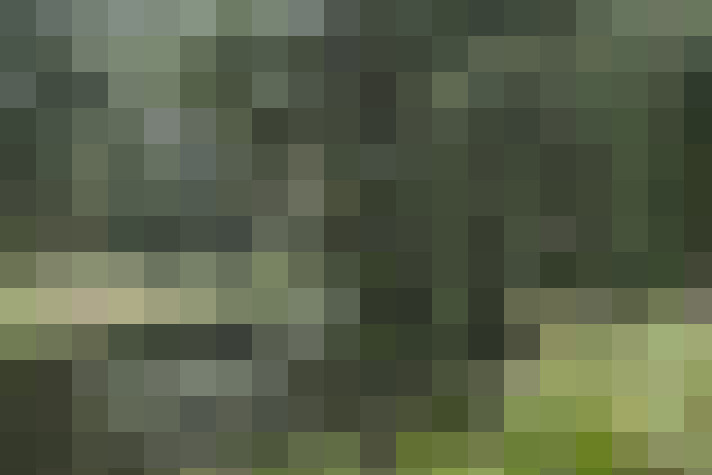  / #17