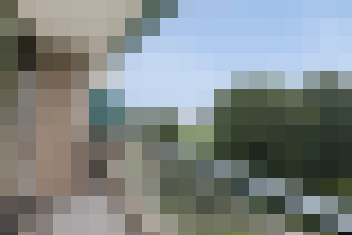  / #14