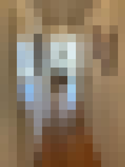  / #13