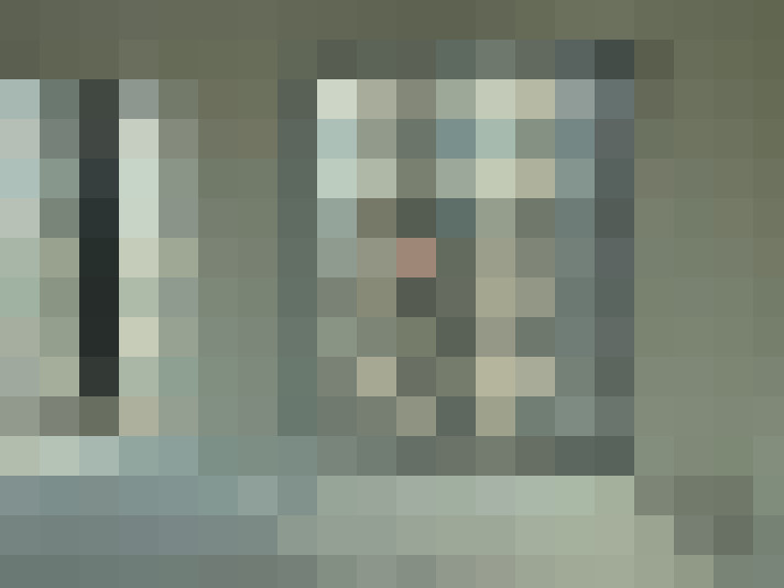  / #14