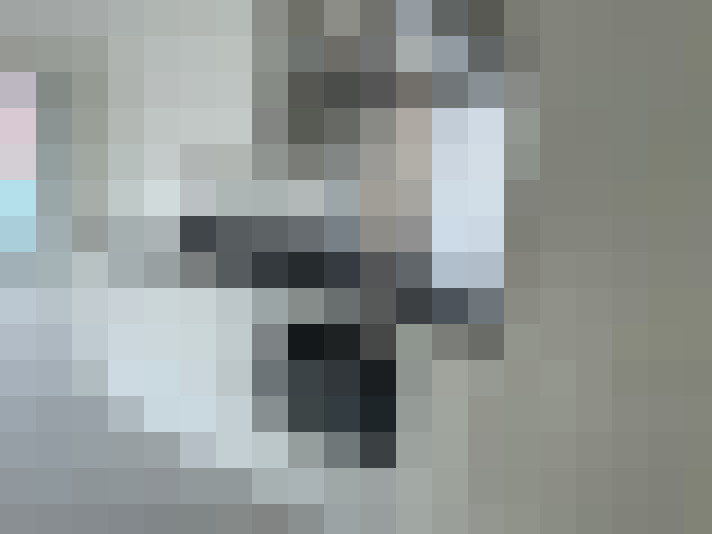  / #18