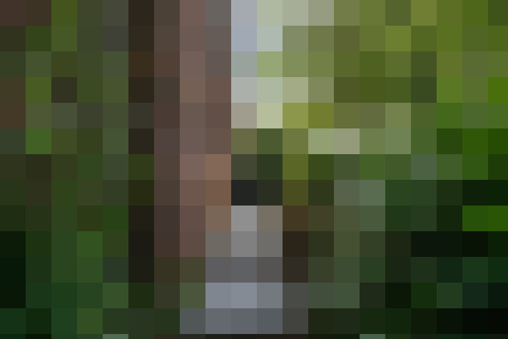  / #20