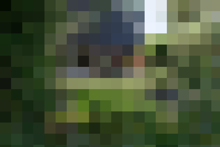  / #21
