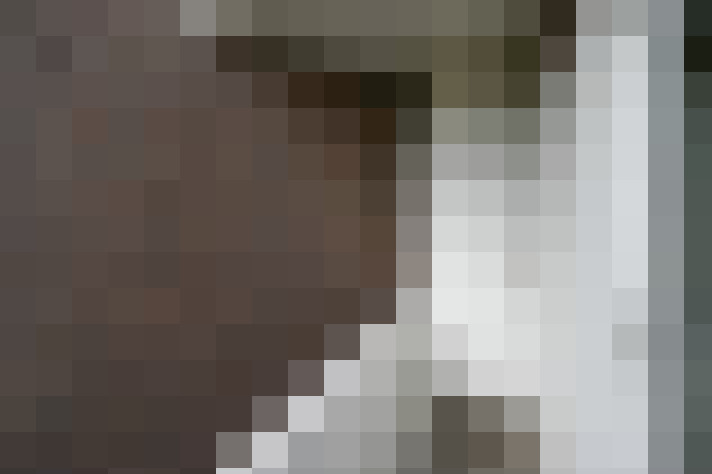  / #31