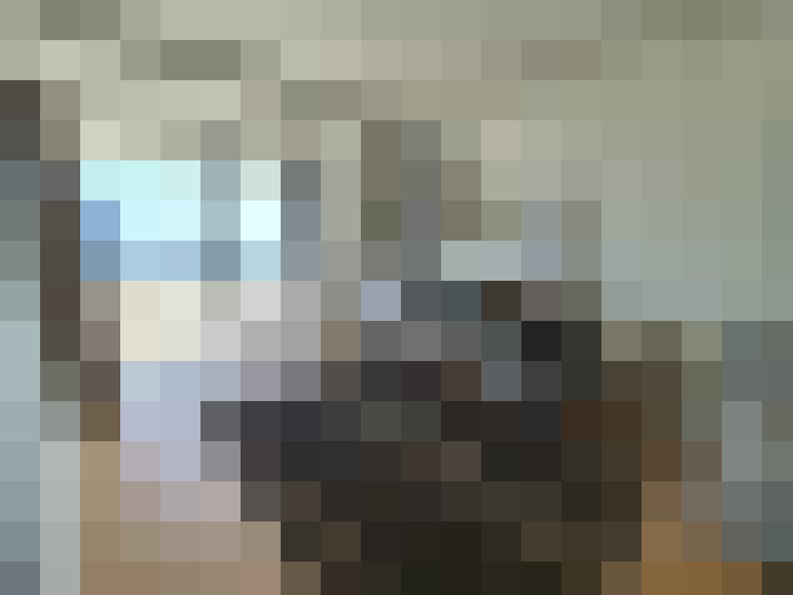  / #15
