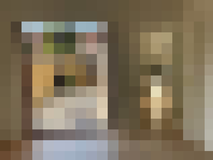  / #14