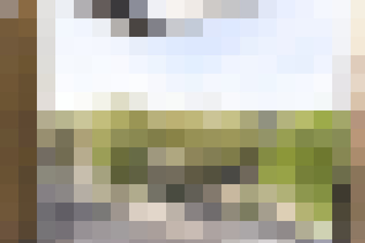  / #17