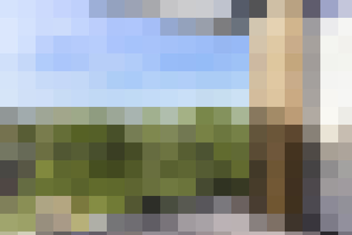  / #16