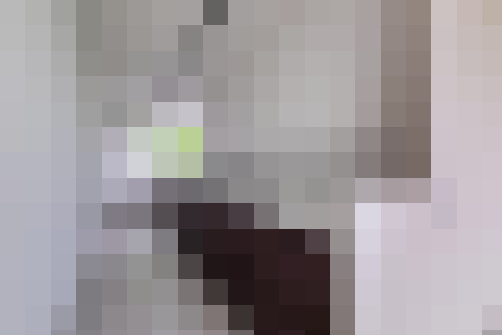  / #15
