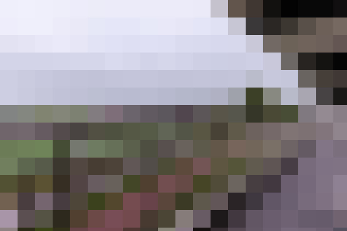  / #17
