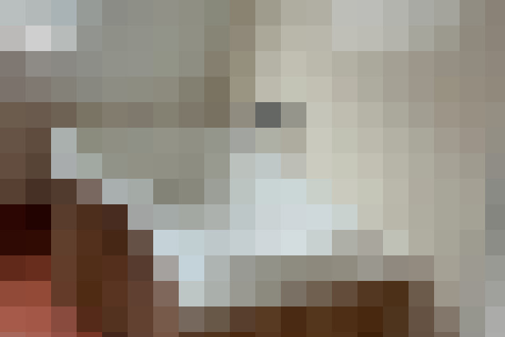  / #6