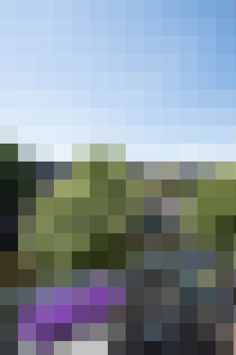  / #10
