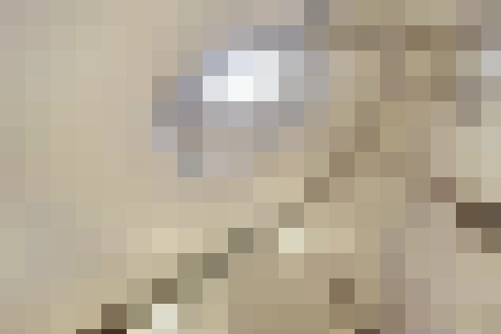  / #22