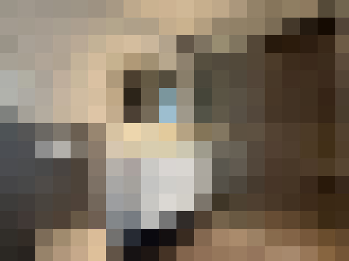  / #19