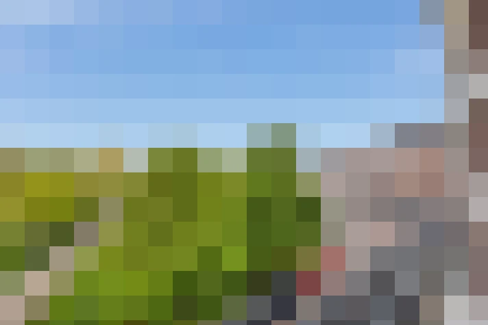  / #7