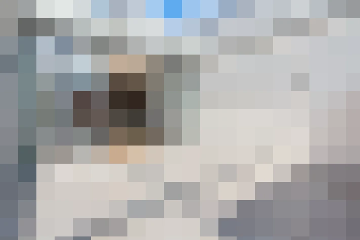  / #17