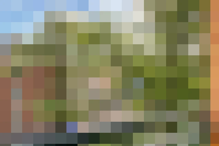  / #14